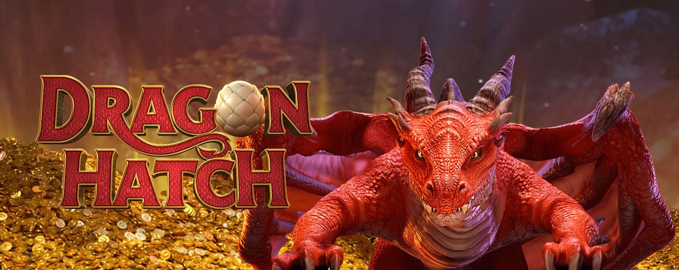 DRAGON HATCH ดราก้อนแฮตช์