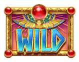 สัญลักษณ์ Wild รูปปีก