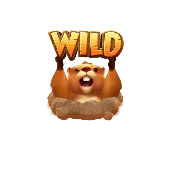  สัญลักษณ์ Wild รูปกระรอกดิน 3