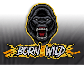 ข้อมูลพื้นฐานเกม BornWild